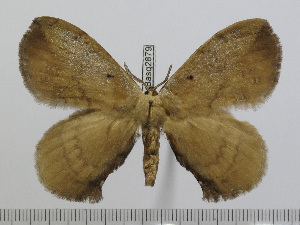  ( - BC-Basq 2879)  @13 [ ] Copyright (2011) Patrick Basquin Research Collection of Patrick Basquin