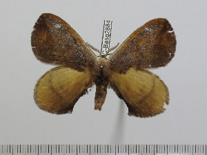  ( - BC-Basq 2884)  @11 [ ] Copyright (2011) Patrick Basquin Research Collection of Patrick Basquin