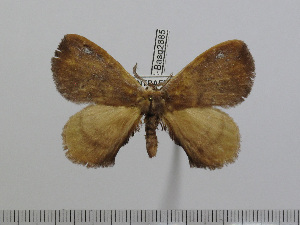  ( - BC-Basq 2885)  @11 [ ] Copyright (2011) Patrick Basquin Research Collection of Patrick Basquin