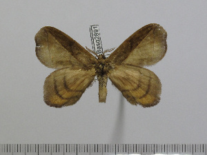  ( - BC-Basq 2891)  @11 [ ] Copyright (2011) Patrick Basquin Research Collection of Patrick Basquin