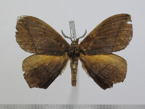  ( - BC-Basq 3000)  @14 [ ] Copyright (2011) Patrick Basquin Research Collection of Patrick Basquin