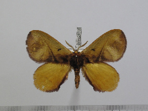  ( - BC-Basq 2833)  @13 [ ] Copyright (2011) Patrick Basquin Research Collection of Patrick Basquin