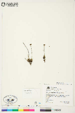  ( - AL11-009)  @11 [ ] Copyright (2018) Unspecified Canadian Museum of Nature