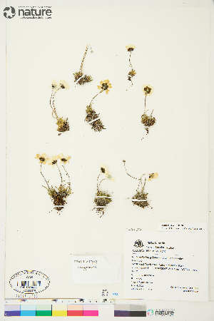  ( - AL11-008)  @11 [ ] Copyright (2018) Unspecified Canadian Museum of Nature