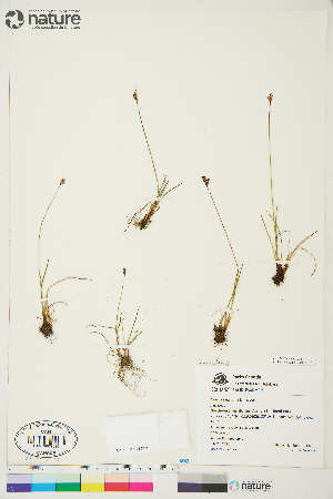  ( - AL11-070)  @11 [ ] Copyright (2018) Unspecified Canadian Museum of Nature