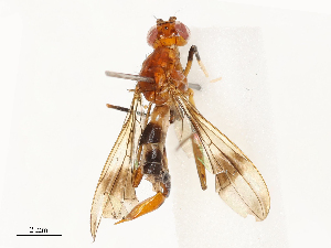  ( - CBG-A67008-E12)  @11 [ ] CreativeCommons - Attribution Share - Alike (2025) CBG Photography Group Centre for Biodiversity Genomics