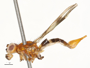  ( - CBG-A67010-C06)  @11 [ ] CreativeCommons - Attribution Share - Alike (2025) CBG Photography Group Centre for Biodiversity Genomics