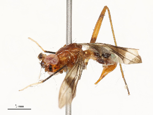  ( - CBG-A67794-B12)  @11 [ ] CreativeCommons - Attribution Share - Alike (2025) CBG Photography Group Centre for Biodiversity Genomics