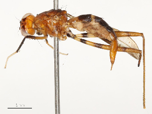  ( - CBG-A67801-A11)  @11 [ ] CreativeCommons - Attribution Share - Alike (2025) CBG Photography Group Centre for Biodiversity Genomics