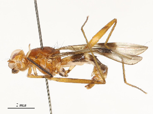  ( - CBG-A67801-E05)  @11 [ ] CreativeCommons - Attribution Share - Alike (2025) CBG Photography Group Centre for Biodiversity Genomics