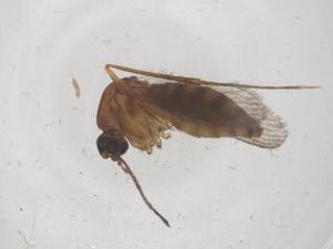  ( - CBG-B22502-A07)  @11 [ ] CreativeCommons - Attribution Share - Alike (2025) Centre for Biodiversity Genomics Centre for Biodiversity Genomics