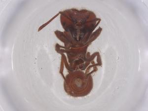  ( - CBG-B05600-F03)  @11 [ ] CreativeCommons - Attribution Share - Alike (2025) Centre for Biodiversity Genomics Centre for Biodiversity Genomics