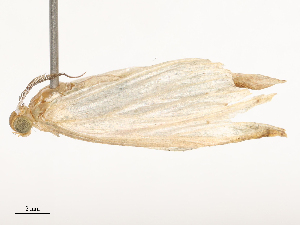  ( - CBG-B21844-E04)  @11 [ ] CreativeCommons - Attribution Share - Alike (2025) CBG Photography Group Centre for Biodiversity Genomics