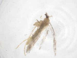  ( - CBG-B22305-H07)  @11 [ ] CreativeCommons - Attribution Share - Alike (2025) Centre for Biodiversity Genomics Centre for Biodiversity Genomics