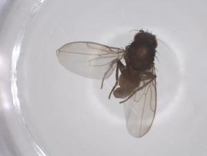  ( - CBG-B15484-F05)  @11 [ ] CreativeCommons - Attribution Share - Alike (2025) Centre for Biodiversity Genomics Centre for Biodiversity Genomics