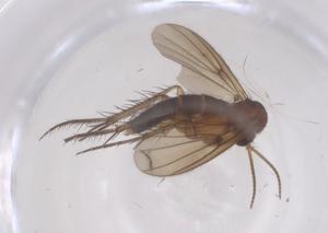  ( - CBG-B16392-B03)  @11 [ ] CreativeCommons - Attribution Share - Alike (2025) Centre for Biodiversity Genomics Centre for Biodiversity Genomics