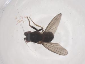  ( - CBG-B16479-E03)  @11 [ ] CreativeCommons - Attribution Share - Alike (2025) Centre for Biodiversity Genomics Centre for Biodiversity Genomics