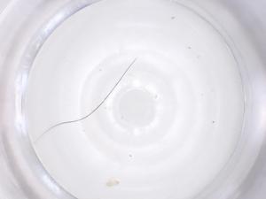  ( - CBG-B18348-A04)  @11 [ ] CreativeCommons - Attribution Share - Alike (2025) Centre for Biodiversity Genomics Centre for Biodiversity Genomics