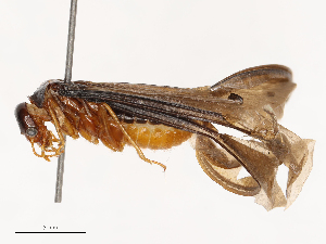  ( - CBG-B24017-G01)  @11 [ ] CreativeCommons - Attribution Share - Alike (2025) CBG Photography Group Centre for Biodiversity Genomics