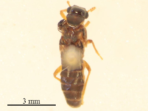  ( - CBG-B24180-H05)  @11 [ ] CreativeCommons - Attribution Share - Alike (2025) CBG Photography Group Centre for Biodiversity Genomics