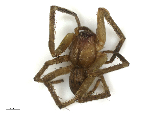  ( - CBG-B00396-H04)  @11 [ ] CreativeCommons - Attribution Share - Alike (2025) CBG Photography Group Centre for Biodiversity Genomics