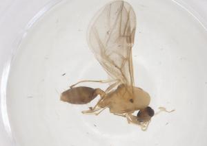  ( - CBG-B18270-A02)  @11 [ ] CreativeCommons - Attribution Share - Alike (2025) Centre for Biodiversity Genomics Centre for Biodiversity Genomics