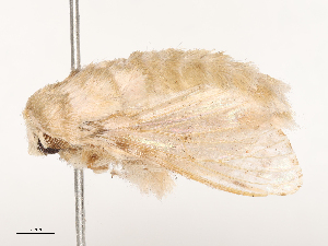  ( - CBG-A53641-D07)  @11 [ ] CreativeCommons - Attribution Share - Alike (2024) CBG Photography Group Centre for Biodiversity Genomics