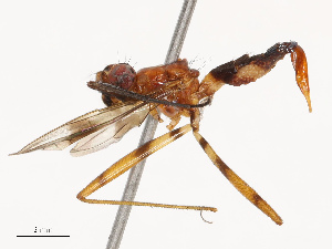  ( - CBG-B21794-E02)  @11 [ ] CreativeCommons - Attribution Share - Alike (2025) CBG Photography Group Centre for Biodiversity Genomics