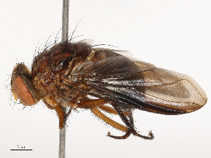  ( - CBG-B22882-E05)  @11 [ ] CreativeCommons - Attribution Share - Alike (2025) CBG Photography Group Centre for Biodiversity Genomics