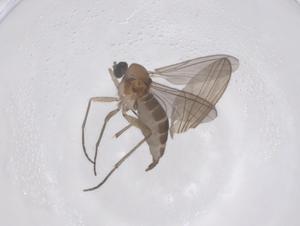  ( - CBG-B23002-C02)  @11 [ ] CreativeCommons - Attribution Share - Alike (2025) Centre for Biodiversity Genomics Centre for Biodiversity Genomics