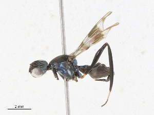  ( - CBG-A23344-H03)  @11 [ ] CreativeCommons - Attribution Share - Alike (2023) CBG Photography Group Centre for Biodiversity Genomics