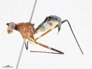  ( - CBG-A23435-H05)  @11 [ ] CreativeCommons - Attribution Share - Alike (2023) CBG Photography Group Centre for Biodiversity Genomics