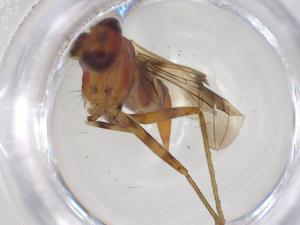  ( - CBG-A44994-C02)  @11 [ ] CreativeCommons - Attribution Share - Alike (2024) Centre for Biodiversity Genomics Centre for Biodiversity Genomics