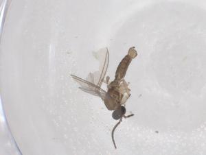  ( - CBG-A45026-E07)  @11 [ ] CreativeCommons - Attribution Share - Alike (2024) Centre for Biodiversity Genomics Centre for Biodiversity Genomics