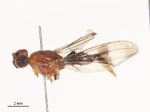  ( - CBG-A45157-E11)  @11 [ ] CreativeCommons - Attribution Share - Alike (2024) CBG Photography Group Centre for Biodiversity Genomics