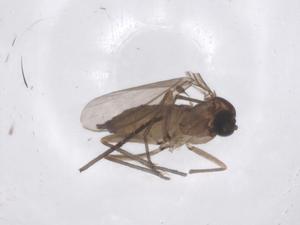  ( - CBG-A46399-D05)  @11 [ ] CreativeCommons - Attribution Share - Alike (2024) Centre for Biodiversity Genomics Centre for Biodiversity Genomics