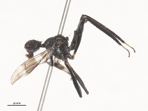  ( - CBG-A48545-D12)  @11 [ ] CreativeCommons - Attribution Share - Alike (2024) CBG Photography Group Centre for Biodiversity Genomics