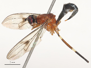  ( - CBG-A51000-F07)  @11 [ ] CreativeCommons - Attribution Share - Alike (2024) CBG Photography Group Centre for Biodiversity Genomics