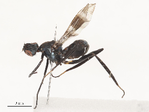  ( - CBG-A51055-E05)  @11 [ ] CreativeCommons - Attribution Share - Alike (2024) CBG Photography Group Centre for Biodiversity Genomics