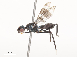  ( - CBG-A51891-D01)  @11 [ ] CreativeCommons - Attribution Share - Alike (2024) CBG Photography Group Centre for Biodiversity Genomics