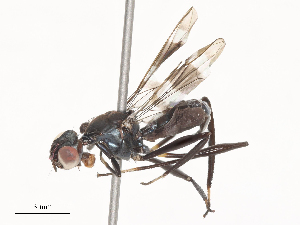  ( - CBG-A51891-D04)  @11 [ ] CreativeCommons - Attribution Share - Alike (2024) CBG Photography Group Centre for Biodiversity Genomics