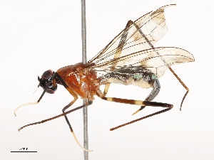  ( - CBG-B15687-F03)  @11 [ ] CreativeCommons - Attribution Share - Alike (2025) CBG Photography Group Centre for Biodiversity Genomics