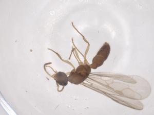  ( - CBG-B21836-F07)  @11 [ ] CreativeCommons - Attribution Share - Alike (2025) Centre for Biodiversity Genomics Centre for Biodiversity Genomics