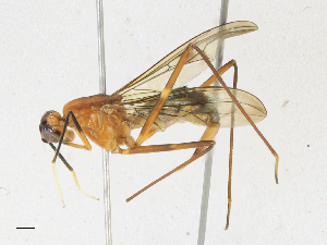  ( - CBG-A21671-F08)  @11 [ ] CreativeCommons - Attribution Share-Alike (2023) CBG Photography Group Centre for Biodiversity Genomics