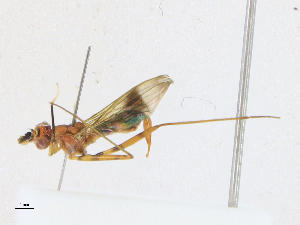  ( - CBG-A21743-C02)  @11 [ ] CreativeCommons - Attribution Share-Alike (2023) CBG Photography Group Centre for Biodiversity Genomics