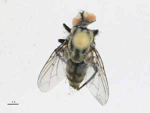  ( - CBG-A23289-B03)  @11 [ ] CreativeCommons - Attribution Share-Alike (2023) CBG Photography Group Centre for Biodiversity Genomics