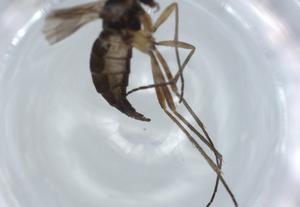  ( - BIOUG57640-B02)  @11 [ ] CreativeCommons - Attribution (2020) Centre for Biodiversity Genomics Centre for Biodiversity Genomics