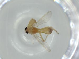  ( - BIOUG60309-D05)  @11 [ ] CreativeCommons - Attribution (2020) Centre for Biodiversity Genomics Centre for Biodiversity Genomics