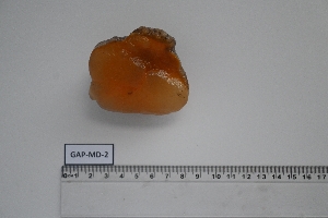  ( - GAP-MD-2)  @11 [ ] Unspecified (default): All Rights Reserved (2024) Institut National de Recherche Halieutique, Maroc Institut National de Recherche Halieutique, Maroc