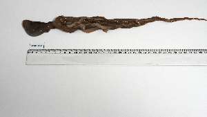  ( - MAD-AS-1)  @11 [ ] Unspecified (default): All Rights Reserved (2075) Institut National de Recherche Halieutique, Maroc Institut National de Recherche Halieutique, Maroc